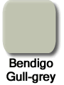 Bendigo gull grey